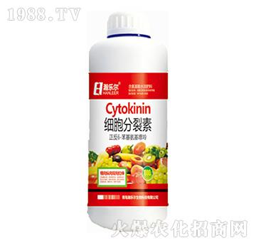 ��(x��)��������-嫘�(l��)��