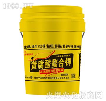 �S���������-���w�r(n��ng)�I(y��)