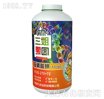 �I�B(y��ng)�����́������-������@-���w�r�I(y��)