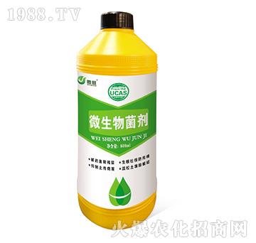 ΢�������-΢����ƿ��-���S���