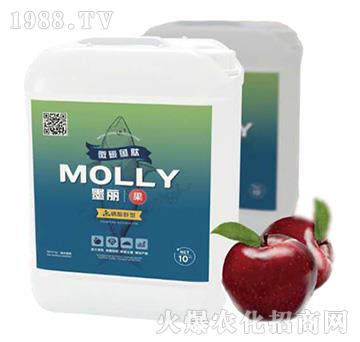 ī����-����