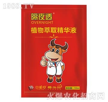 ֲ����ȡ���AҺ-��ҹ͸-��ֲ��