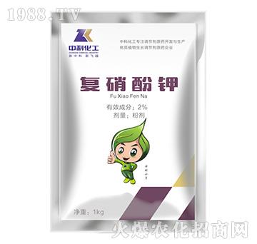 �������-�пƻ���