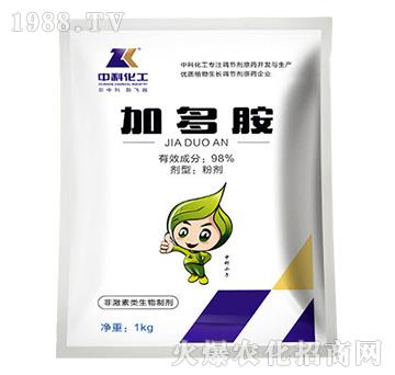 �Ӷష-�пƻ���