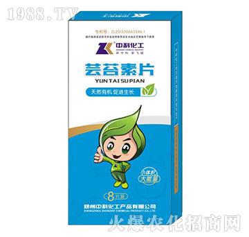 �|̦��Ƭ-�пƻ���