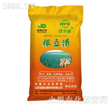 ��(f��)��΢�������-������-���S��-��������