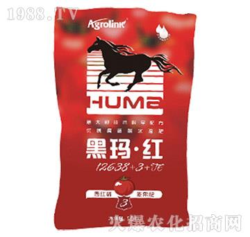 ���t������ˮ�ܷ�-�ڬ����t12638+3+TE-�S(li��n)�r(n��ng)�I(y��)