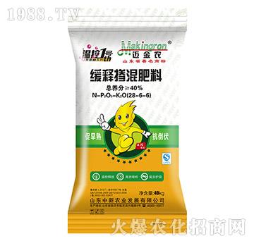 ��ጓ������28-6-