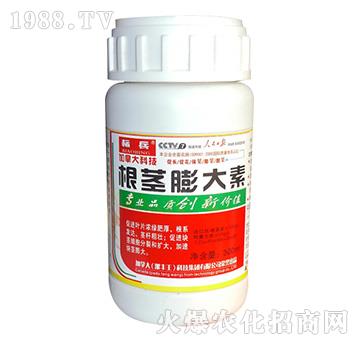 ���o�����-��(bi��o)��-���S��