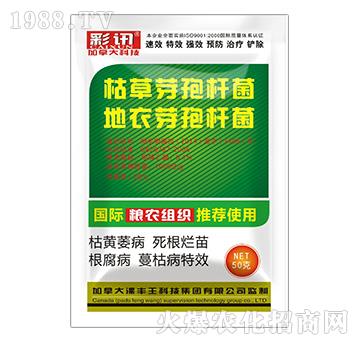 �ݲݡ�����ѿ�ߗU��-��Ӎ-���S��