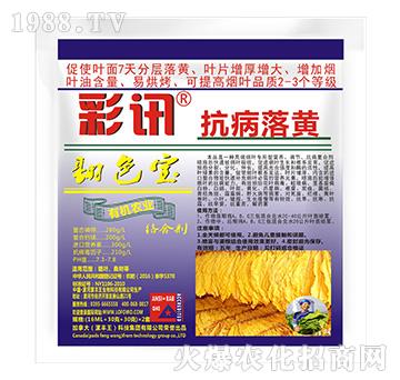 �������S-��ɫ��-��Ӎ-���S��