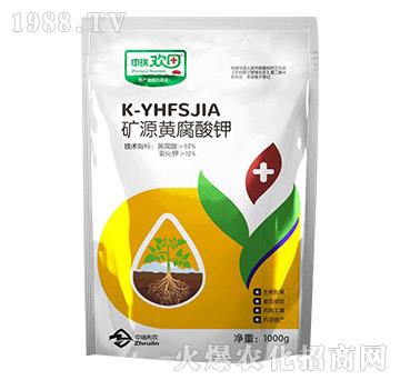 �VԴ�S�����-����g��-�������r(n��ng)