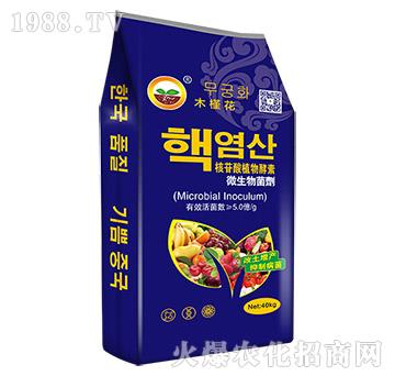 ������ֲ�����-΢�������-����