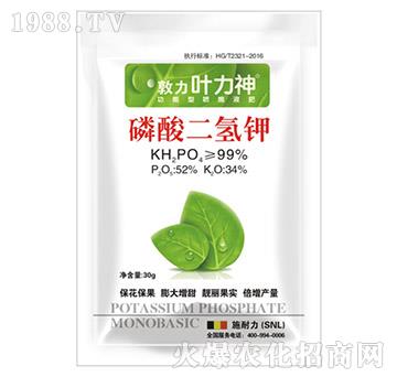 ��������-ʩ����