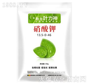 �����13.5-0-46-ʩ����