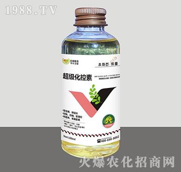 ����������-�R�Sֲ��