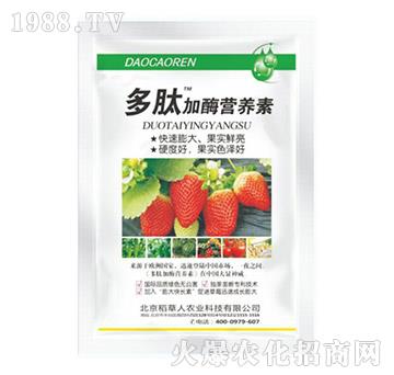 ���ļ�ø�I�B(y��ng)��-������