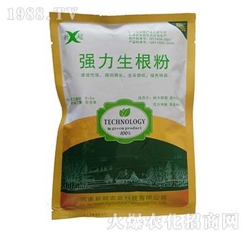 ����������-�³�