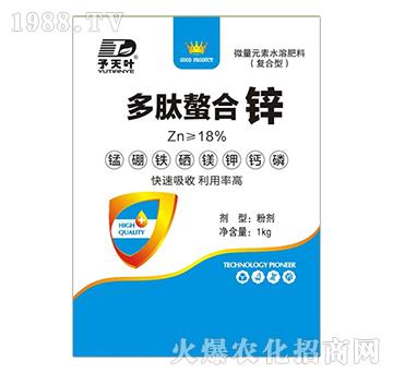 ���������\-���~����