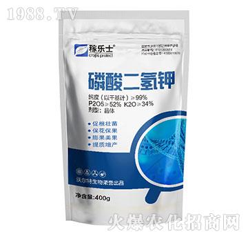 ��������-�ژ�ʿ