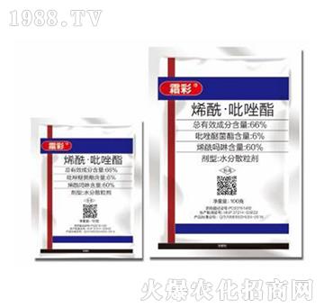 66%ϩ����������-˪��-�|������