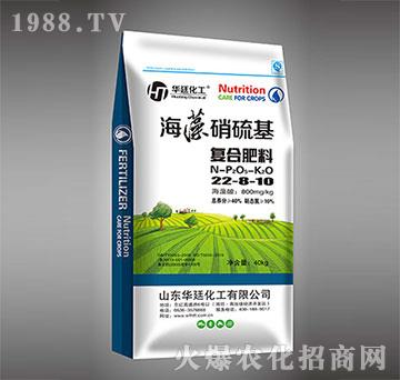 ���������22-8-10��(f��)�Ϸ���-�A͢����