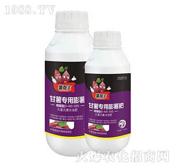 �t�팣��������-�����-���A����(l��)