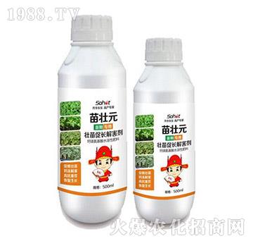 ������L(zh��ng)�⺦��-���Ԫ-���A����