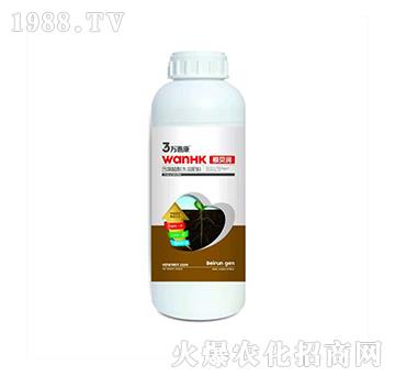 ��ؐ��-�f�ݿ�