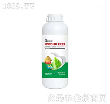 �~ؐ��(r��n)-�f(w��n)�ݿ�