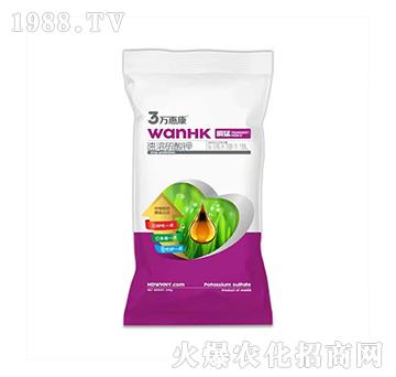 ˲�͡����������-�f�ݿ�