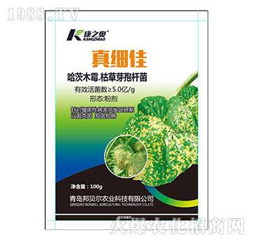 ����ľù���ݲ�ѿ�ߗU��-�漚(x��)��-��ؐ��