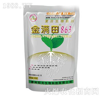 ��(f��)���������-��M��863-ꖹ�����