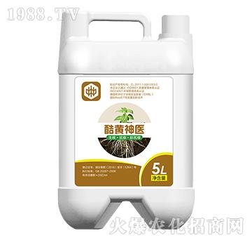 ���S���t(y��)�������������ã�-��ֲ(li��n)��