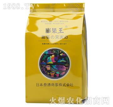 �����-���˳�