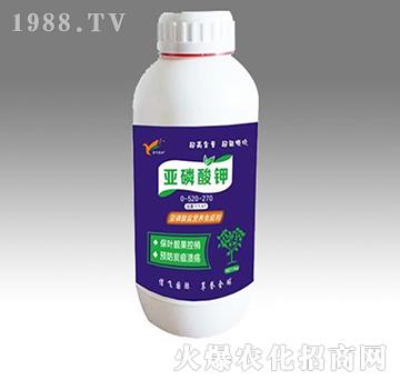 �������-���w�r(n��ng)�I(y��)