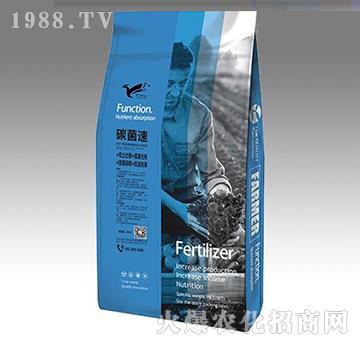 ̼����-���w�r(n��ng)�I(y��)