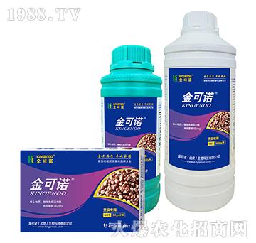 �͌�(sh��)����-����Z