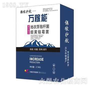 �����o(h��)��-�f����-Ǭ�r(n��ng)