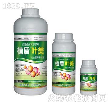 �~��-ֲ��-� �����