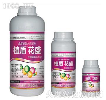 ��ʢ-ֲ��-� �����