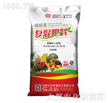 �������(f��)���22-10