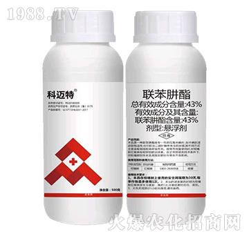 43%(li��n)������-���~��-�J������