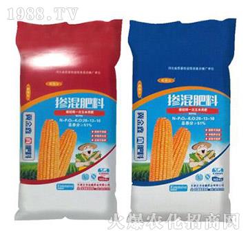 �������28-13-10-���ηʘI(y��)