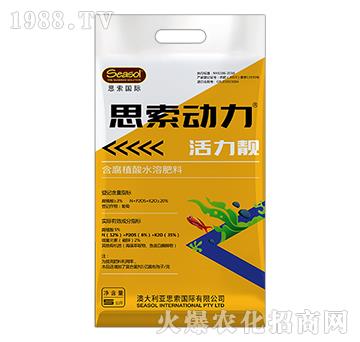 ˼������-�����n-�����{�_����