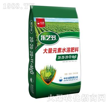 ����Ԫ��ˮ�ܷ���20-20-20+TE+MgO-��ˇ��