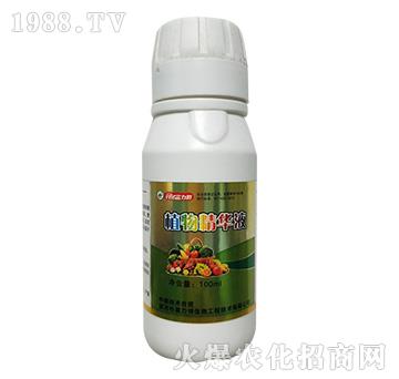 ֲ�ﾫ�AҺ-������