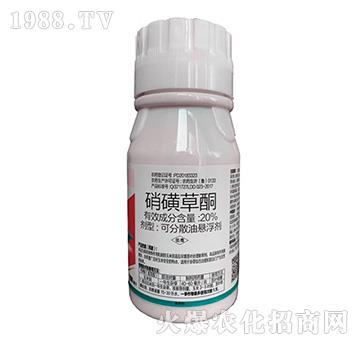 20%���ǲ�ͪ-�P������