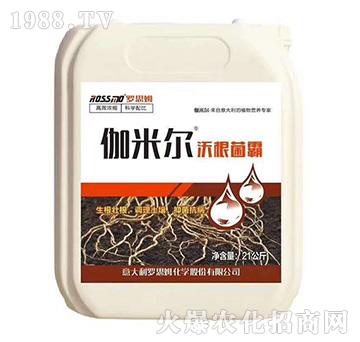 �ָ�����-٤�נ�-ľ�̼ь�