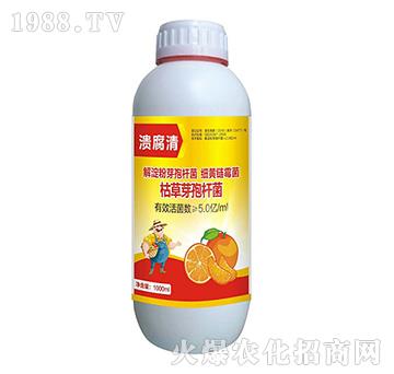 �ݲ�ѿ�ߗU��-������-ľ�̼ь�